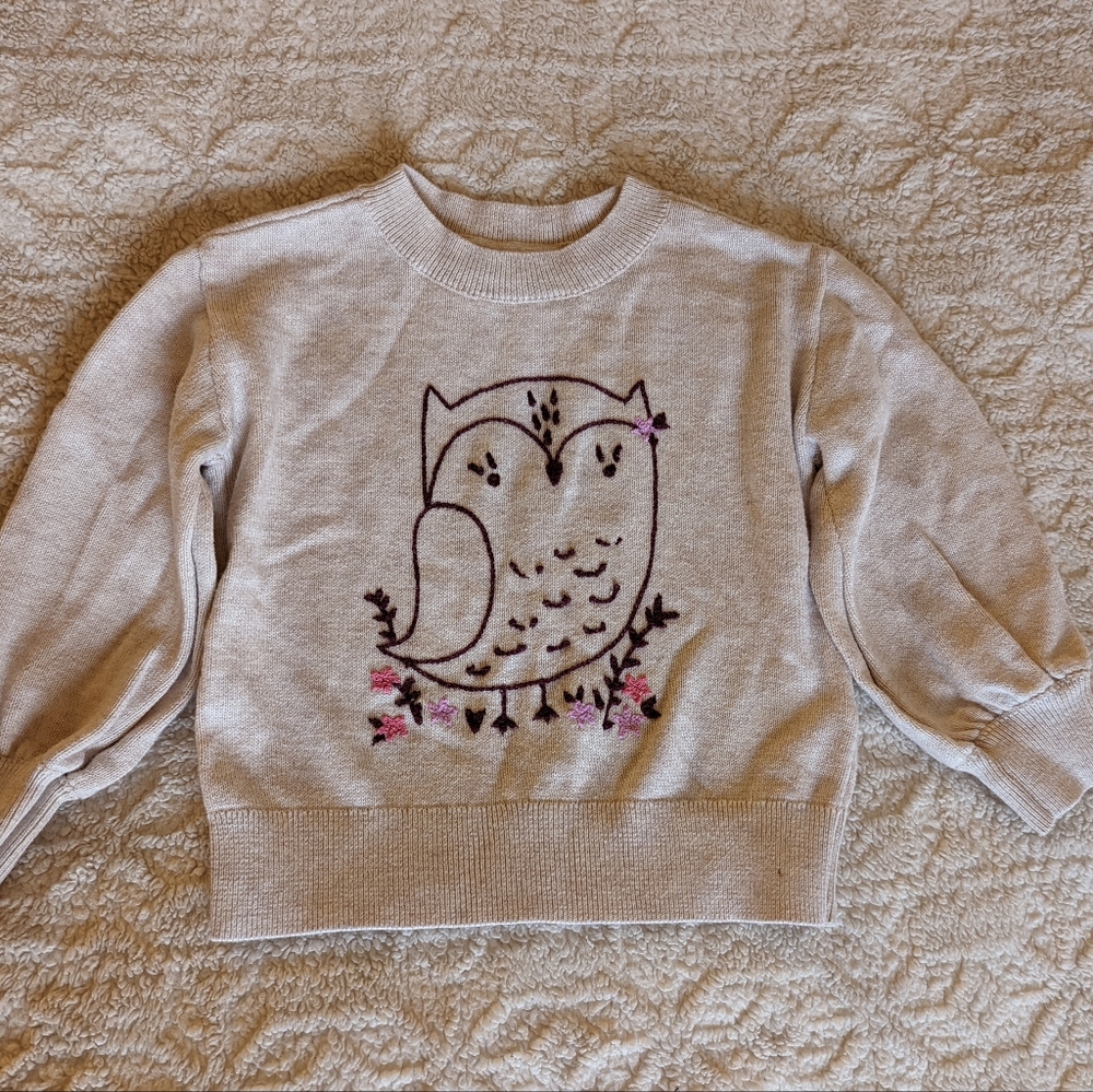 Gap Baby Embroidered Owl Sweater size 4t